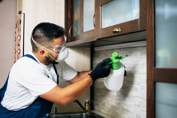 Best Best Pest Control Companies  in Munsons Corners, NY