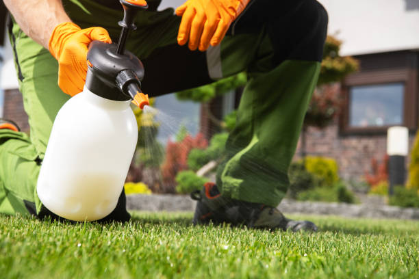 Wildlife Control Services in Munsons Corners, NY