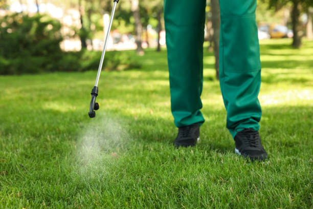 Flea Control Services in Munsons Corners, NY