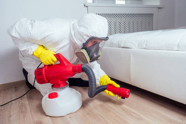 Best Local Pest Control Services  in Munsons Corners, NY