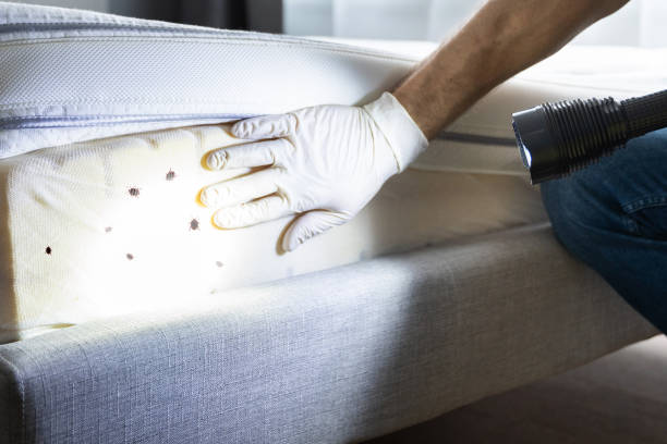 Best Affordable Pest Control Services  in Munsons Corners, NY