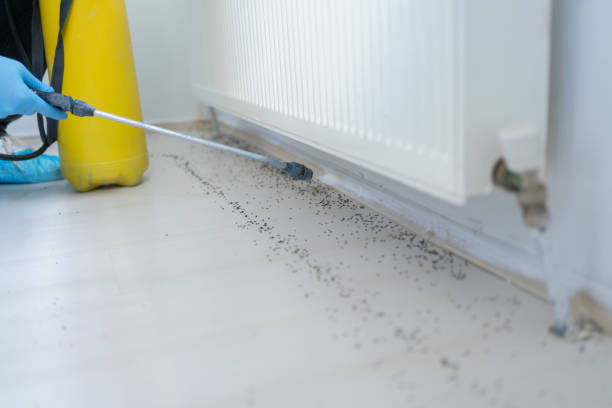 Best Commercial Pest Control Services  in Munsons Corners, NY