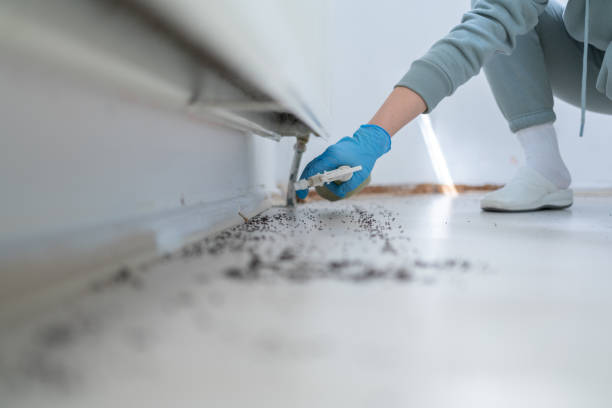 Best Spider Control Near Me  in Munsons Corners, NY