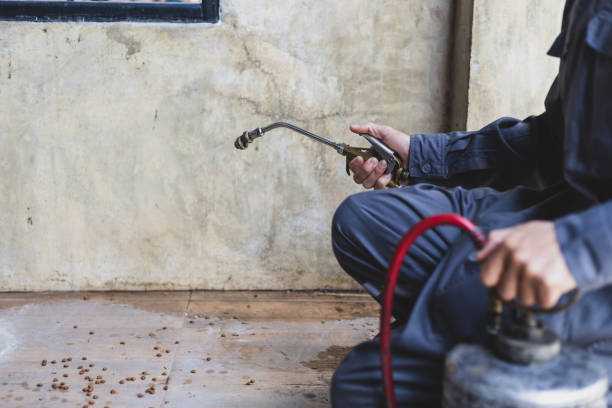 Best Affordable Pest Control Services  in Munsons Corners, NY